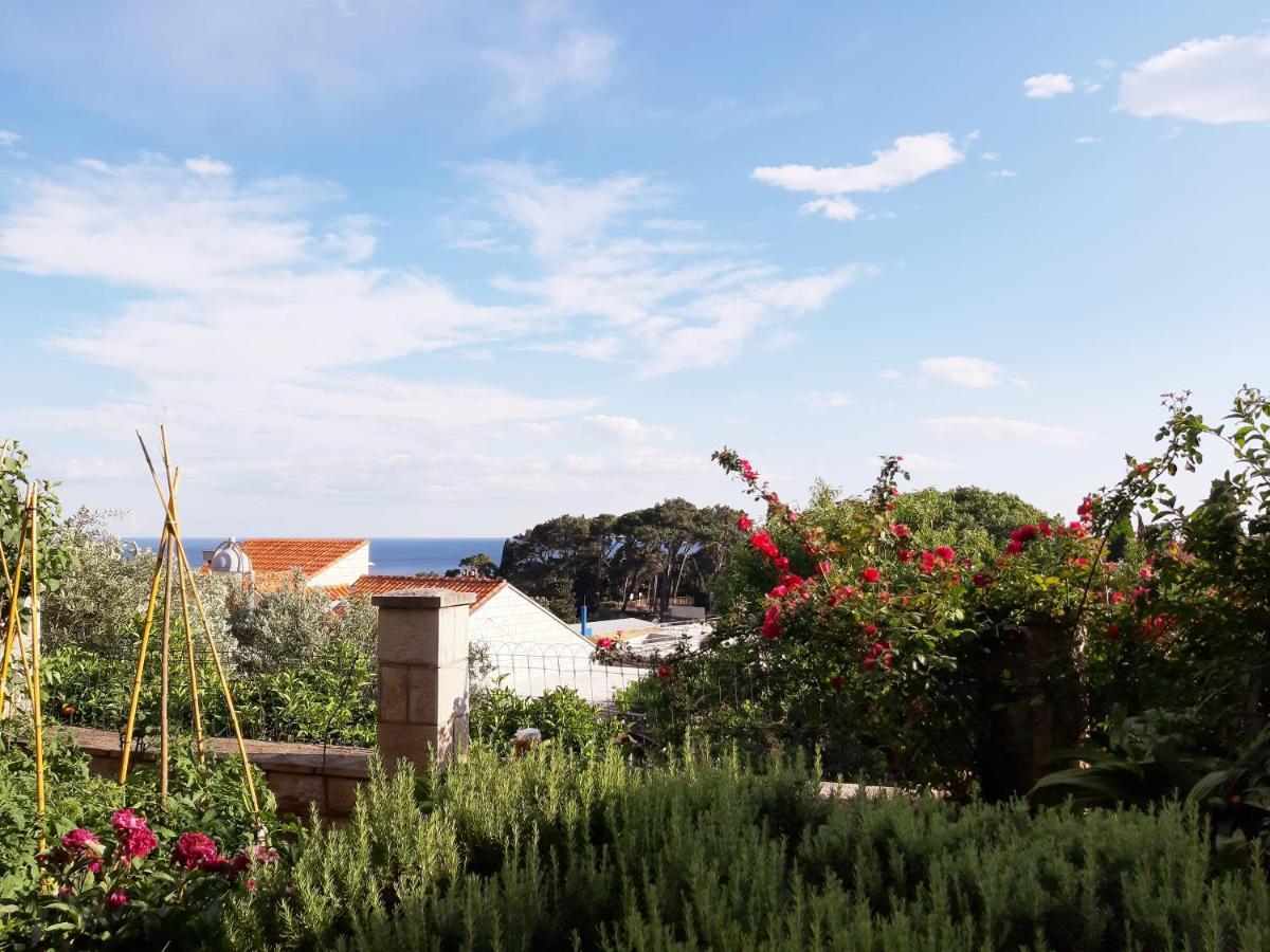 Apartments Deranja Dubrovnik Bagian luar foto